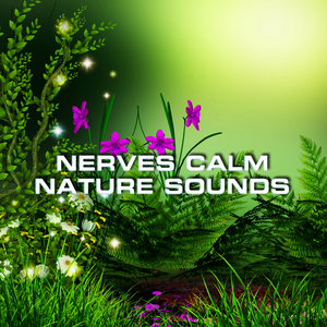 Nerves Calm Nature Sounds