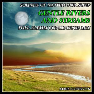 自然的声音睡眠：热带雨林