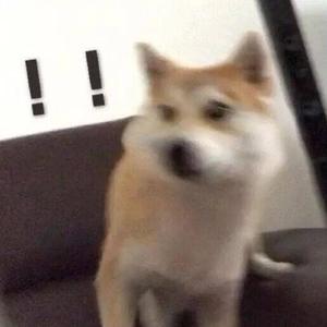 Free-我喜不喜欢你雨女无瓜