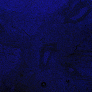 Yesterday's Daydreams