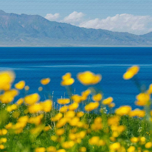 起雾了 (神泉般的音乐)