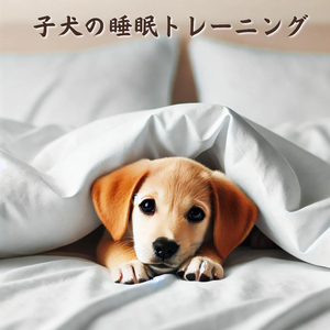 パップズパラダイス