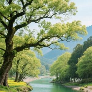 早春的树(Cover 陈鸿宇)
