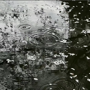 诅咒（Prod.MORROW)