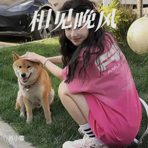 相见晚风 (纯音乐)