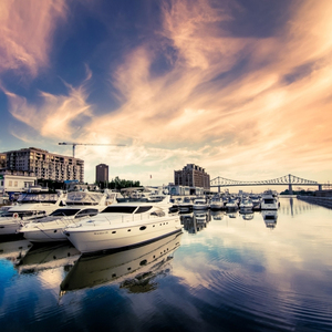 云花开（翻自 何佳乐）