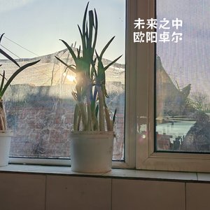 小木马驾驾驾（2026春节新年贺岁歌曲）