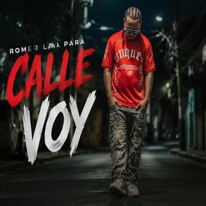 Calle Voy
