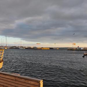 Små och stora grodor