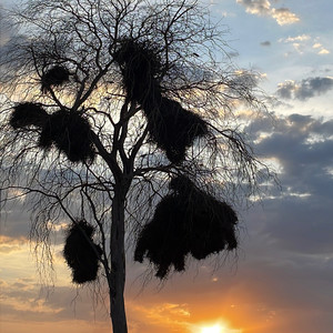 Hoy más que ayer (Radio Edit)