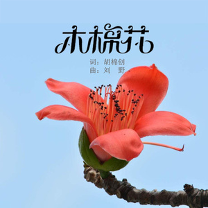 木棉花