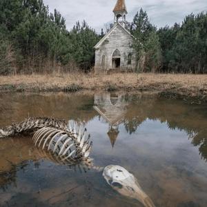 GOLDEN (feat. wojtman.fm)