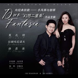 莫扎特：D大调奏鸣曲 K.448 第一乐章：精神饱满的快板