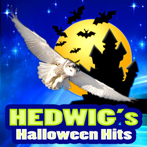 Hedwig's Theme (Theme Tune to Harry Potter)