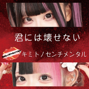 君には壊せない