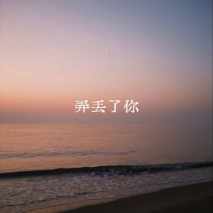 弄丢了你