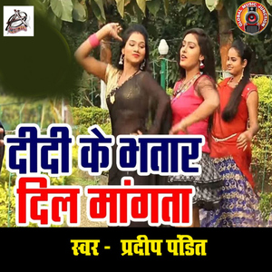 Didi Ke Bhatar Dil Maangta