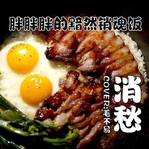 消愁（Cover 毛不易）