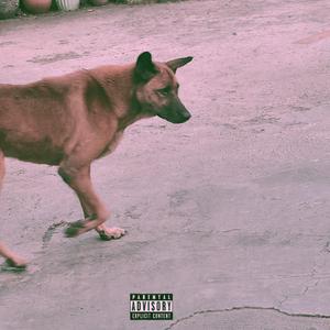 กูทำได้แค่นี้