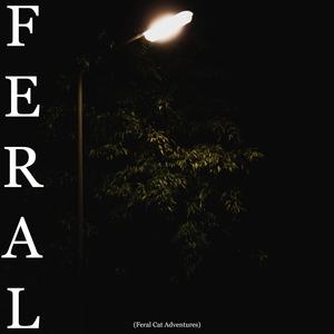 Feral