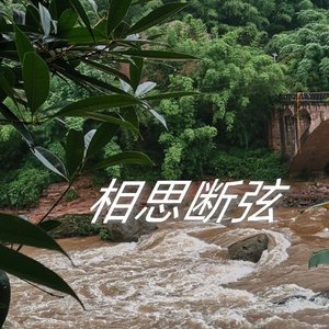 相思断弦