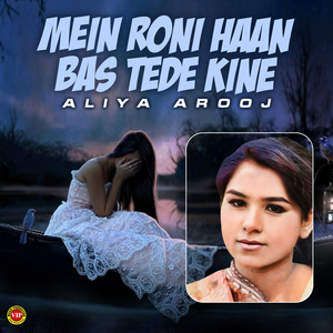 Mein Roni Haan Bas Tede Kine