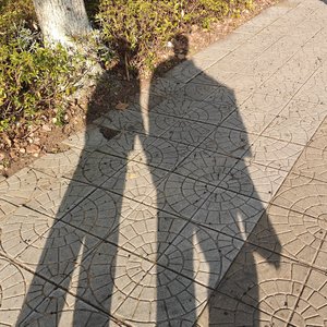 Love Once Begun, Will Never End