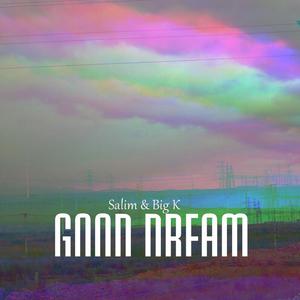 做个好梦 Feat.Salim