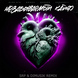 Незабываемый кайф (SRP & DIMUSIK REMIX)