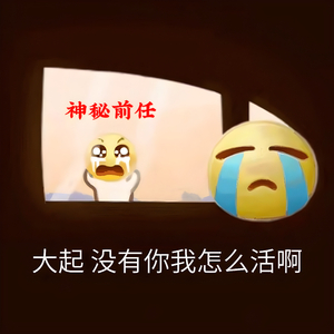 队长-广东爱情故事之皮皮容对大起的爱