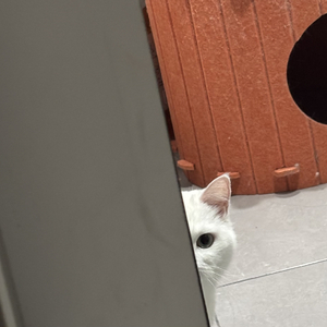 未寄出的信（民谣）