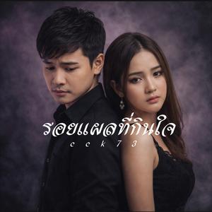 รอยแผลที่กินใจ