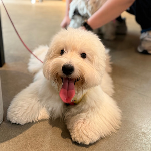 便宜没好货（伴奏）