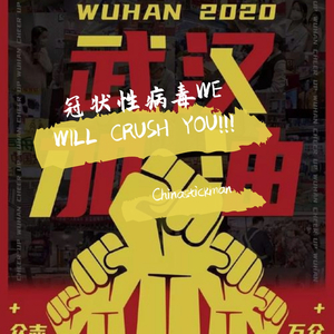 冠状性病毒WE WILL CRUSH YOU!!!