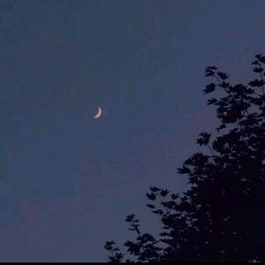 KSHMR-i don't love u anymore（伴奏）（liupc Remix）