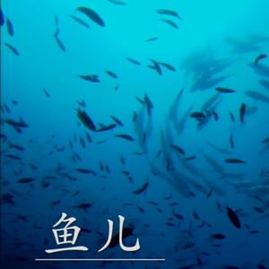 鱼儿