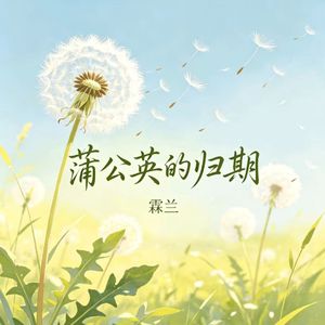 蒲公英的归期