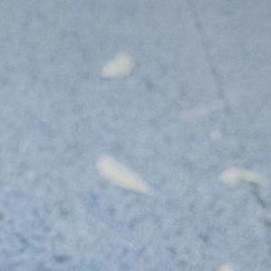 一生所爱（吉他独奏）