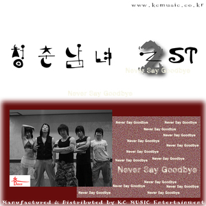 Never Say Goodbye(Feat. 춤쟁이)