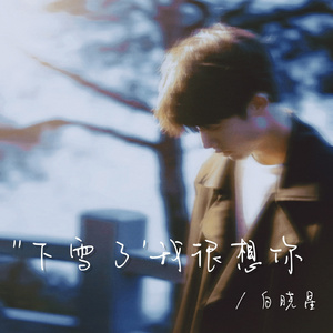 下雪了我很想你