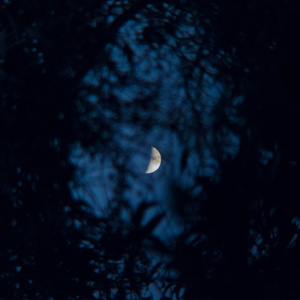 hide (slowed + reverb)