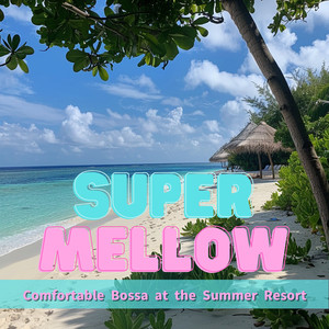 Evening Cove Contemplation