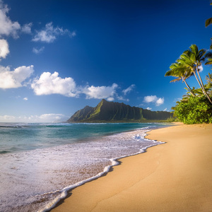 Ritmo Suavizado Del Corazón