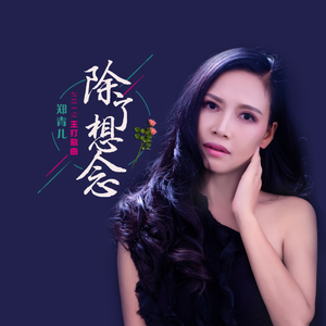 除了想念 (DJ何鹏版)