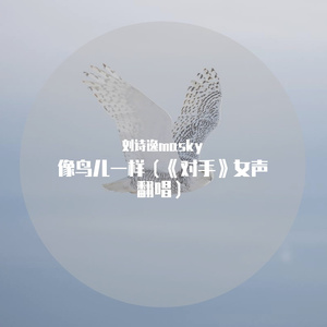 像鸟儿一样（《对手》女声翻唱）