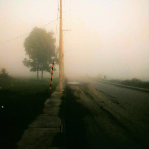 Buried Memories Under the Flowers