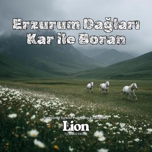 Erzurum Dağları Kar İle Boran