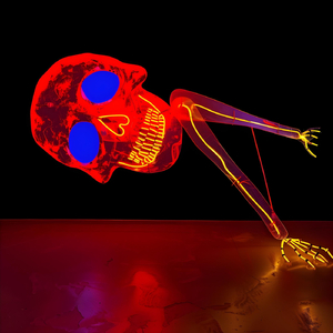 Make the Leap (feat. Can Bayrak)