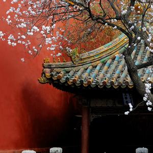 沈园外【男声副歌】