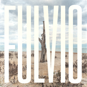 Fulvio